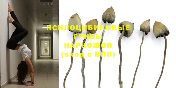 jwh Верея