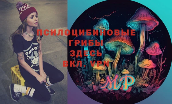 СК Верхний Тагил