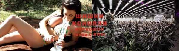 MESCALINE Пересвет