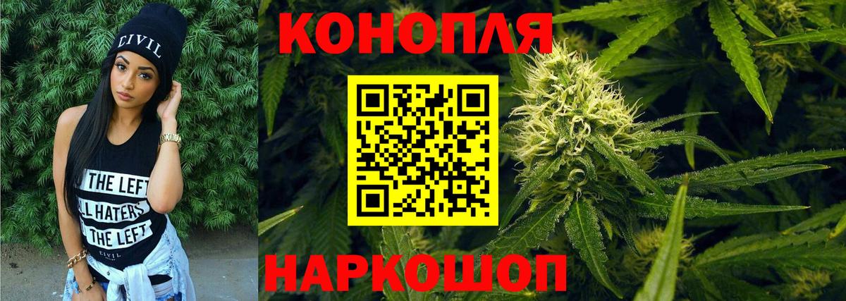 Конопля план Псков